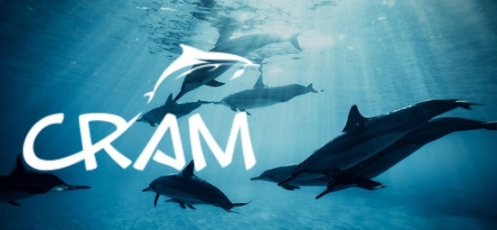 C.R.A.M Fundación (Donation)