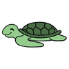 Zeeschildpadden