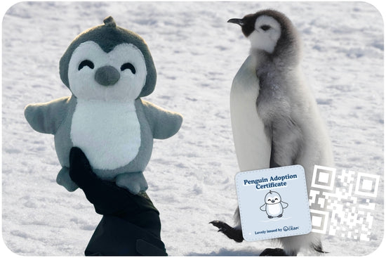 Penguin adoptie plushie